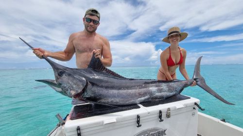 Blue marlin caught trolling off Moorea