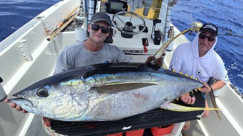 Pêcheurs avec un thon jaune remonté à la main