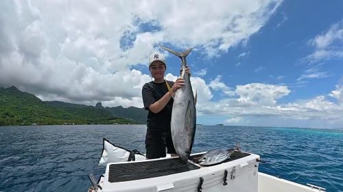 Thon jaune pêché en profondeur devant les montagnes de Moorea